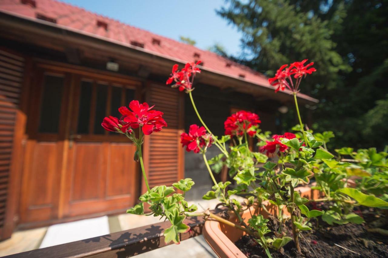 Cabin In The Woods Vukelic Stubicke Toplice Extérieur photo